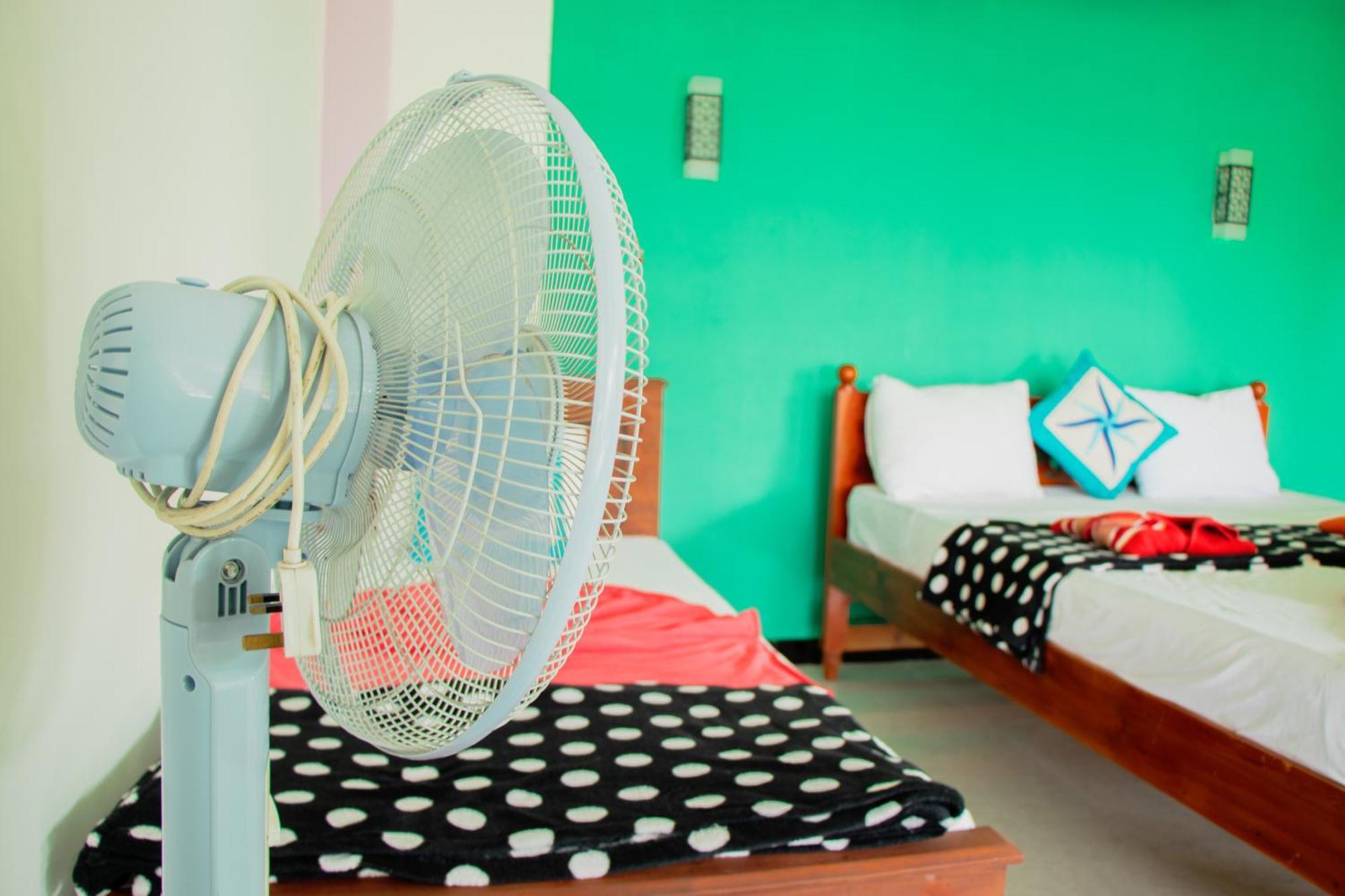 The Sunshine Ella Apartment Екстериор снимка